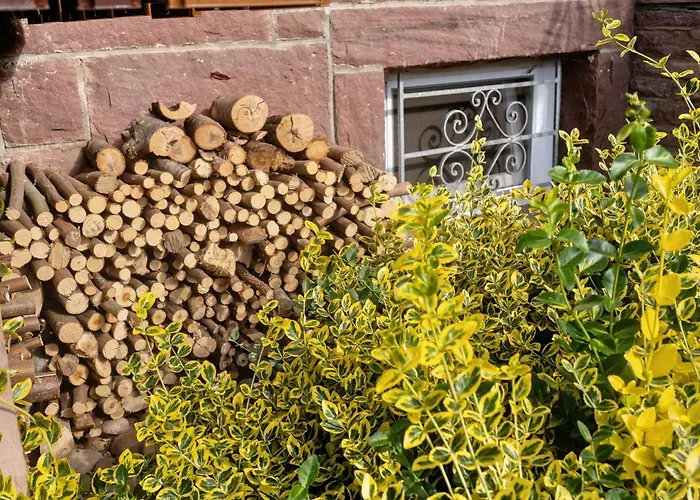 Haus Herbert Panter Bad Peterstal-Griesbach